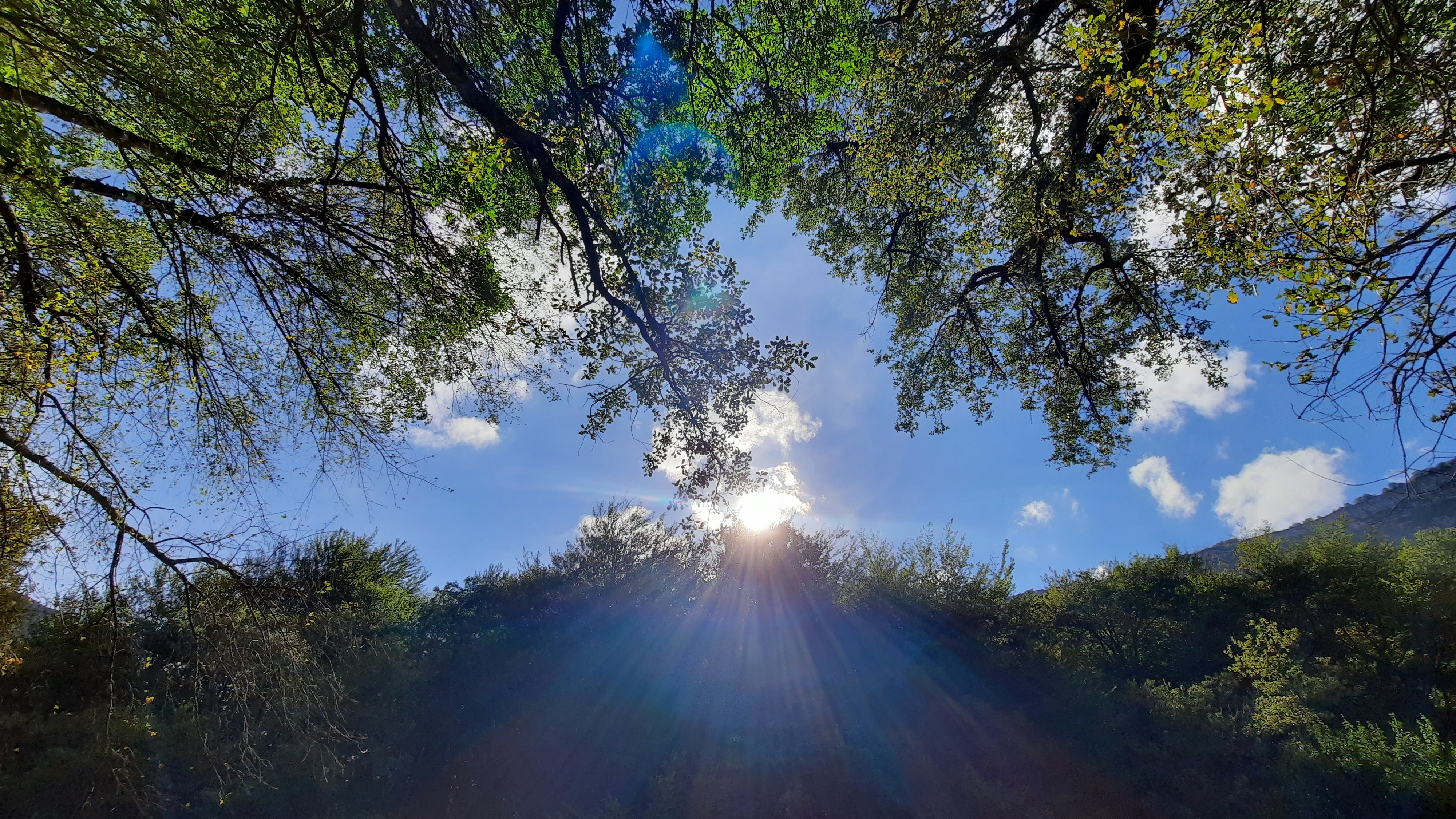 Fotografía de Inma