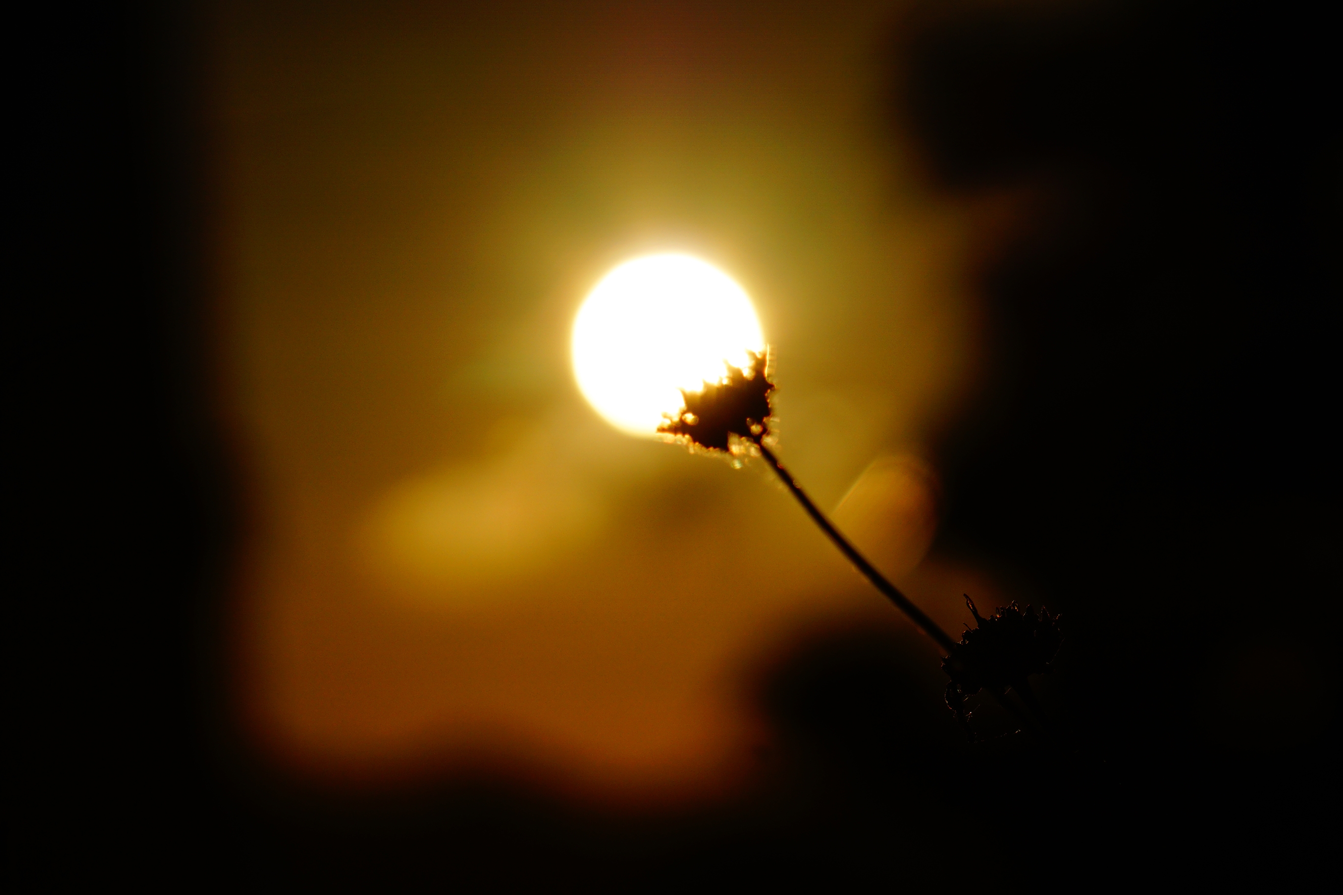 Fotografía de Bertus