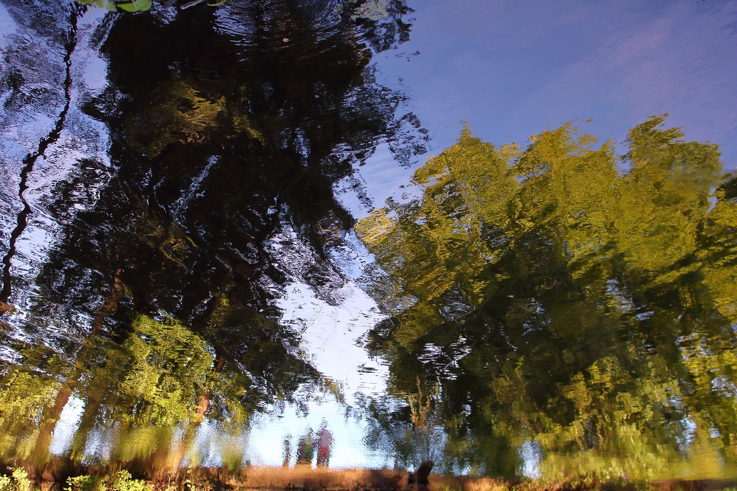 Fotografía de Rosana