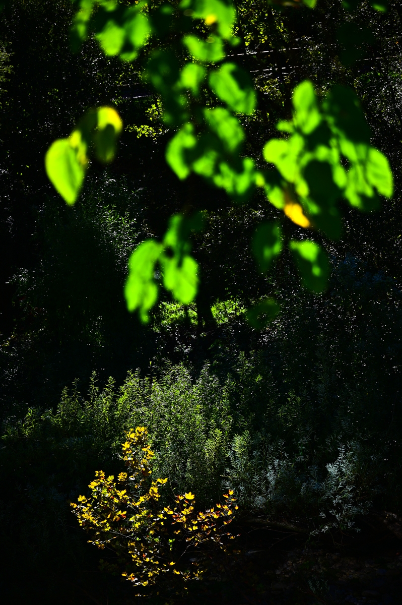 Fotografía de Bederatzi