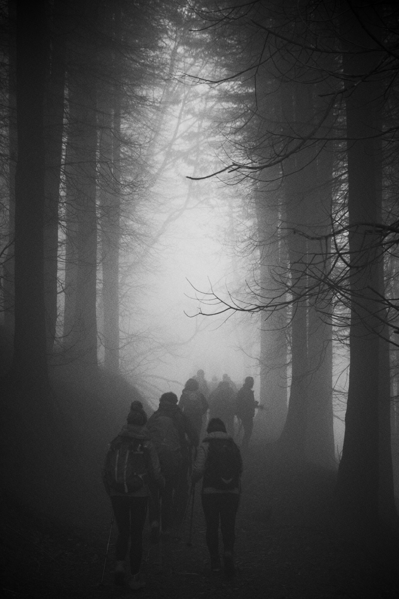 Fotografía de Alex Garai