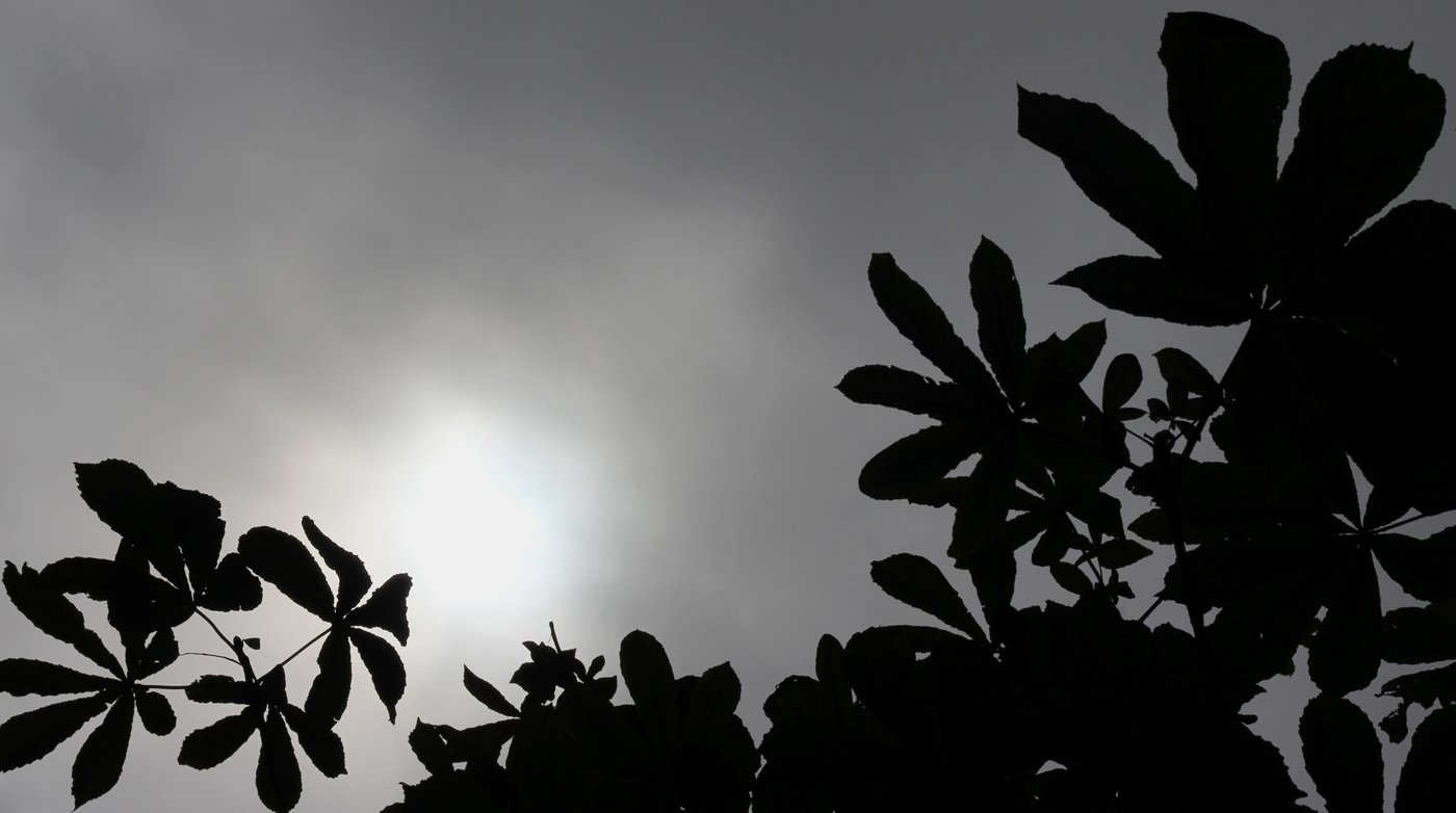 Fotografía de Yolanda