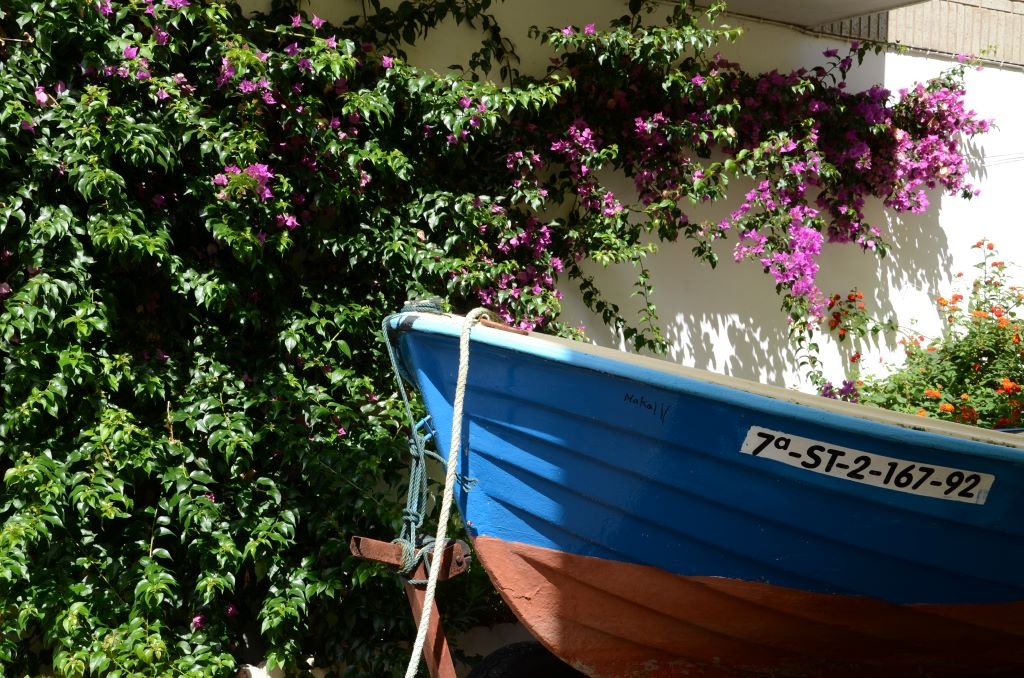 Fotografía de Romana
