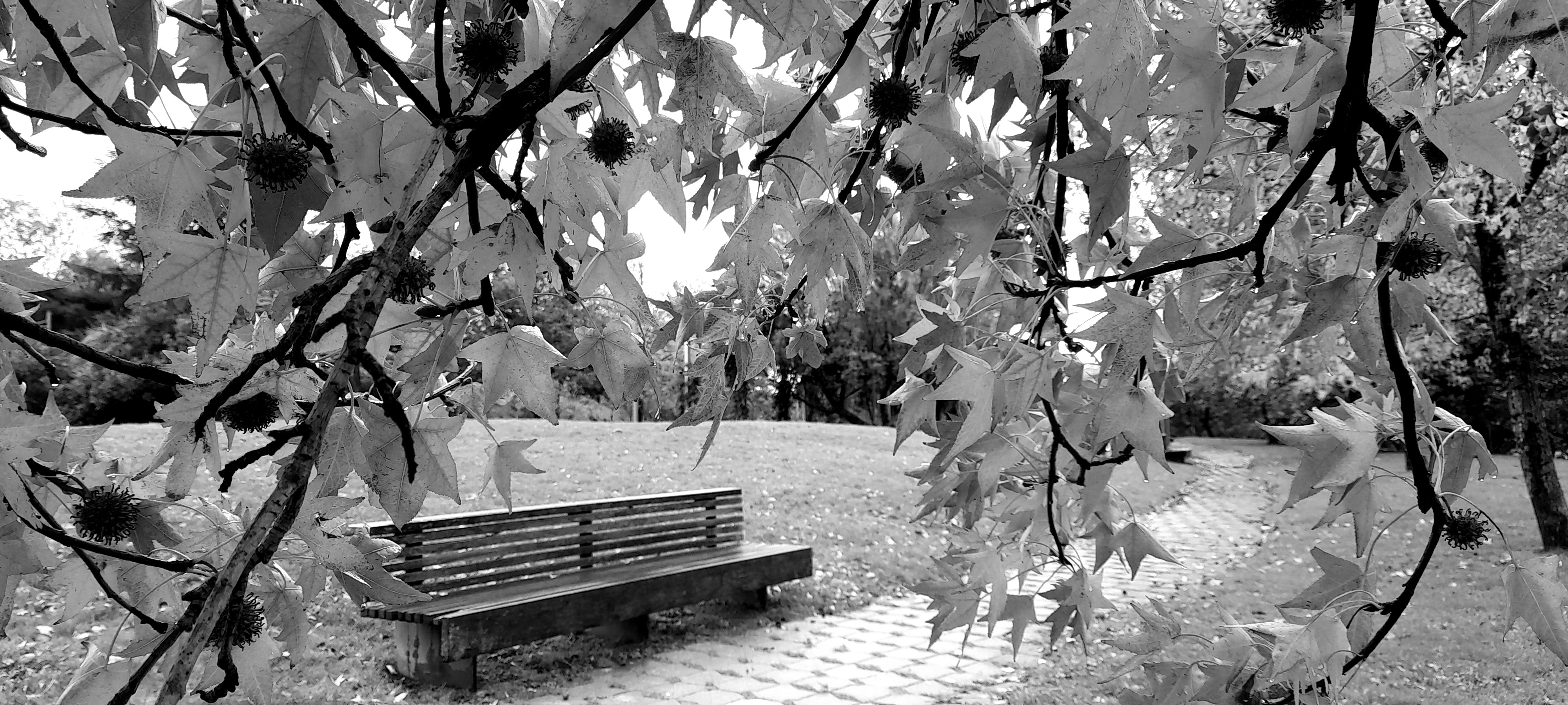 Fotografía de Begoña