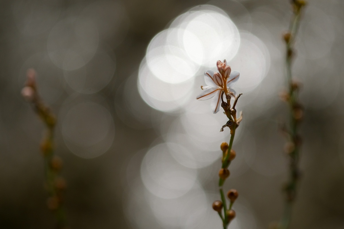 Fotografía de Josune