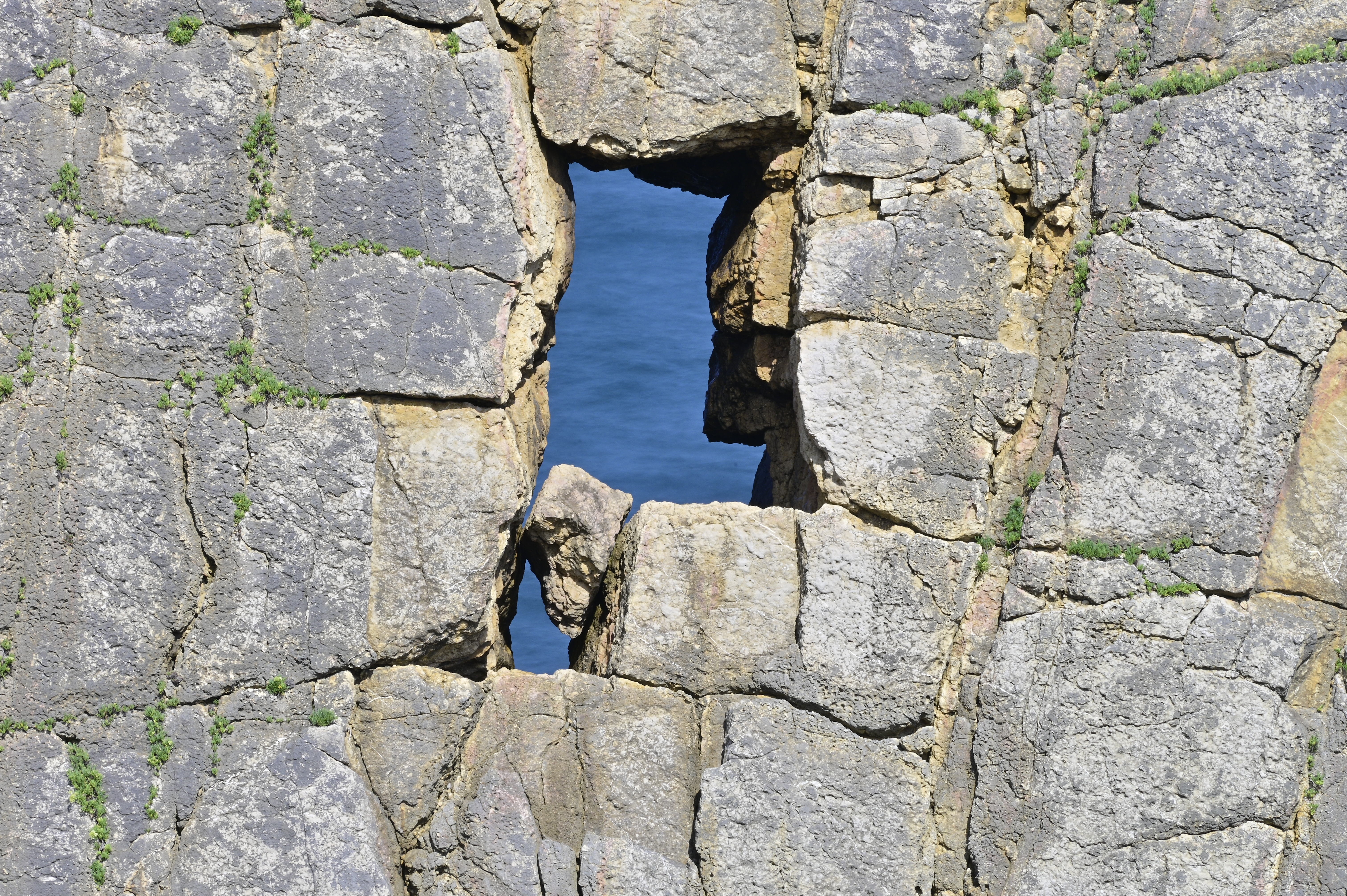Fotografía de Menci