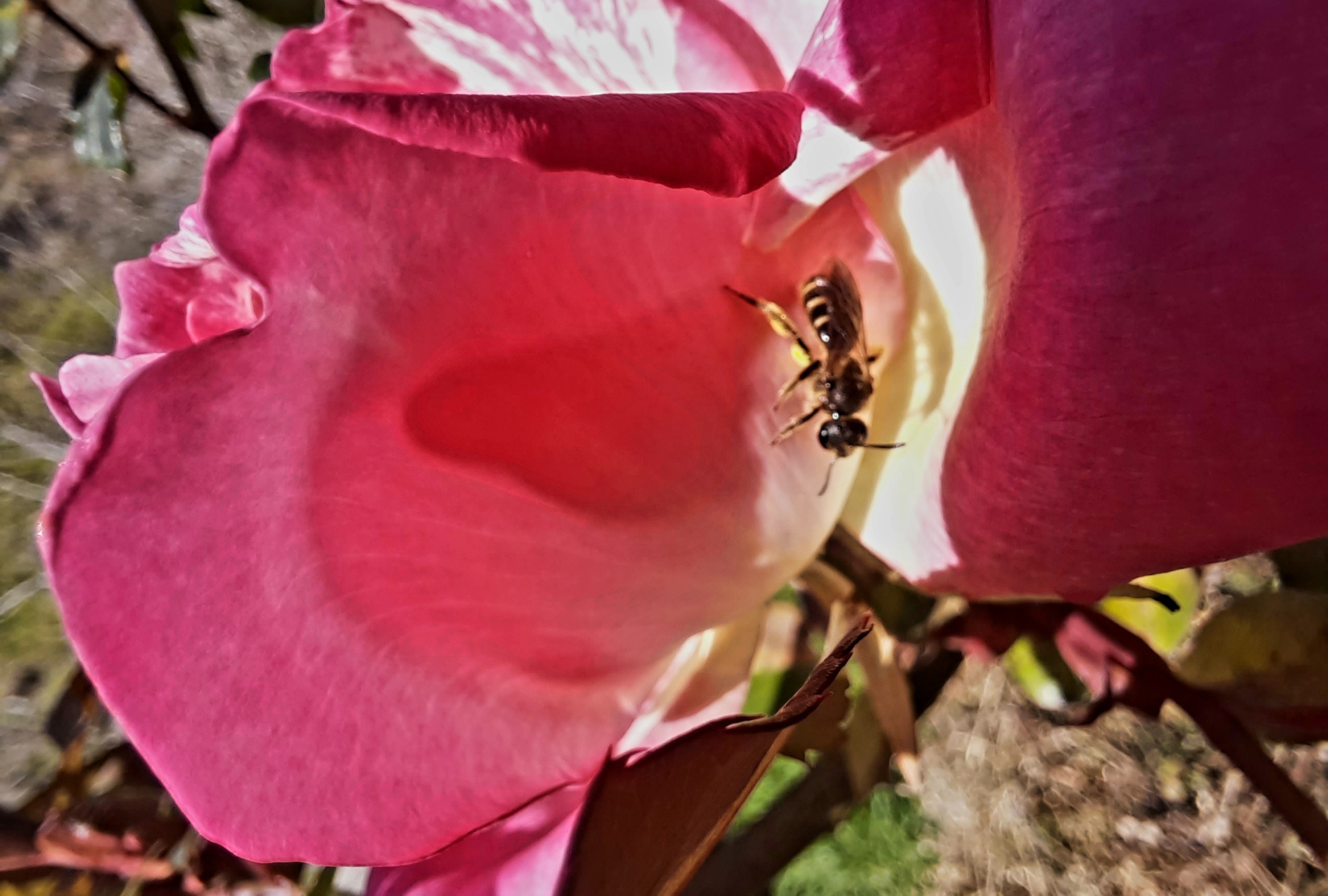 Fotografía de Inma