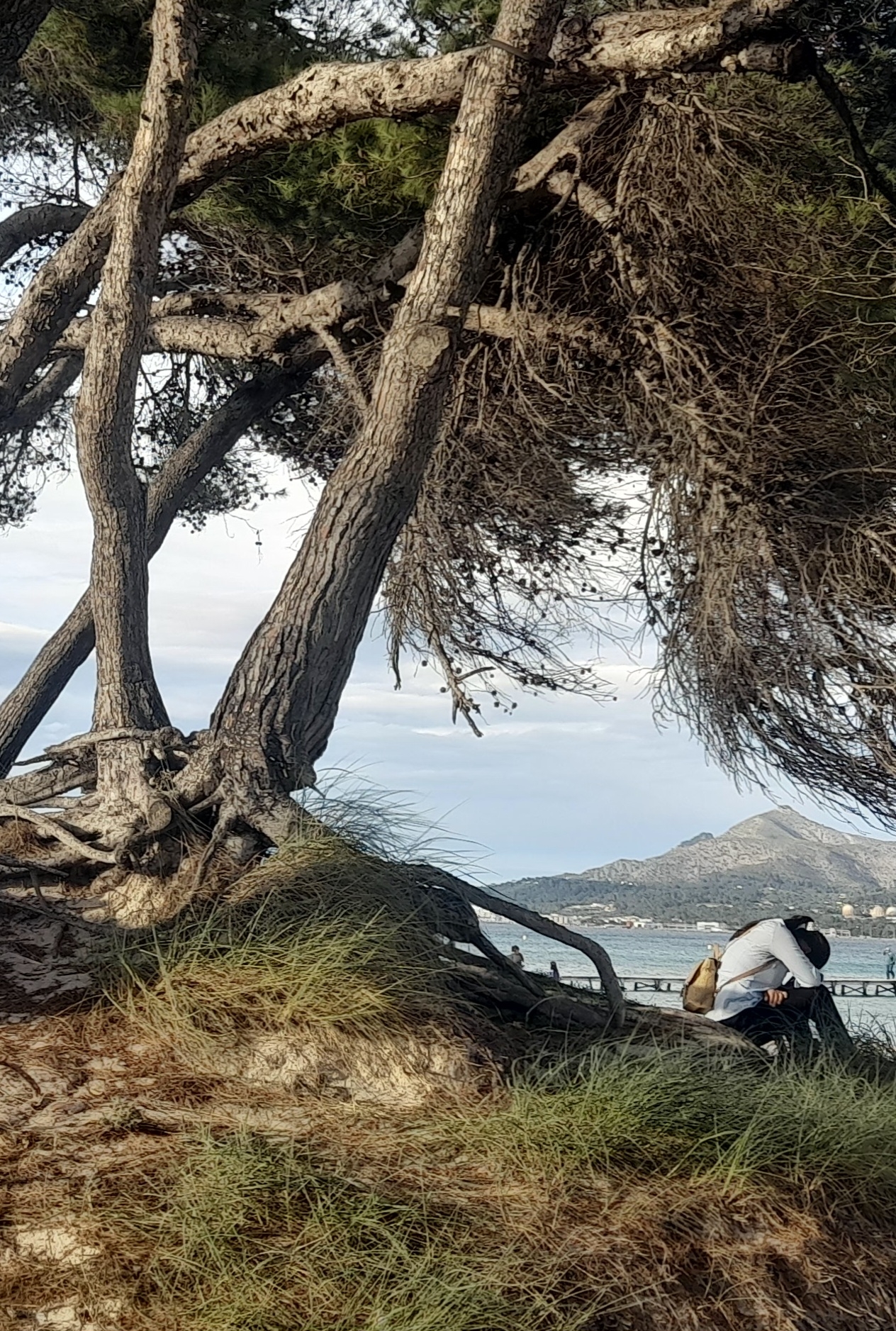 Fotografía de Begoña
