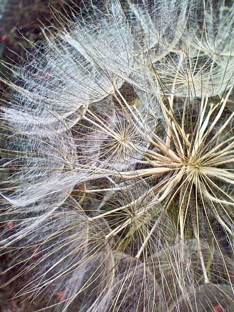 Fotografía de mila