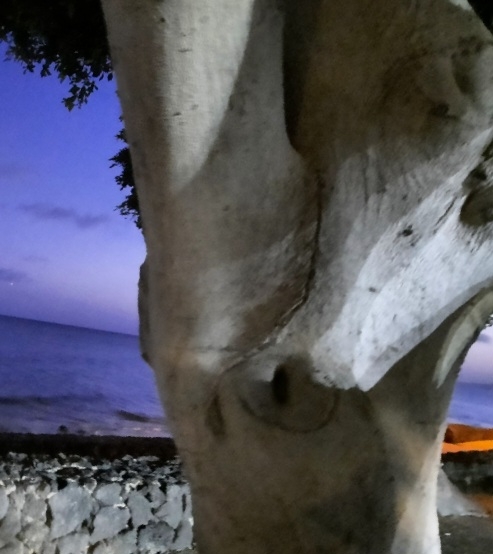 Fotografía de Inma