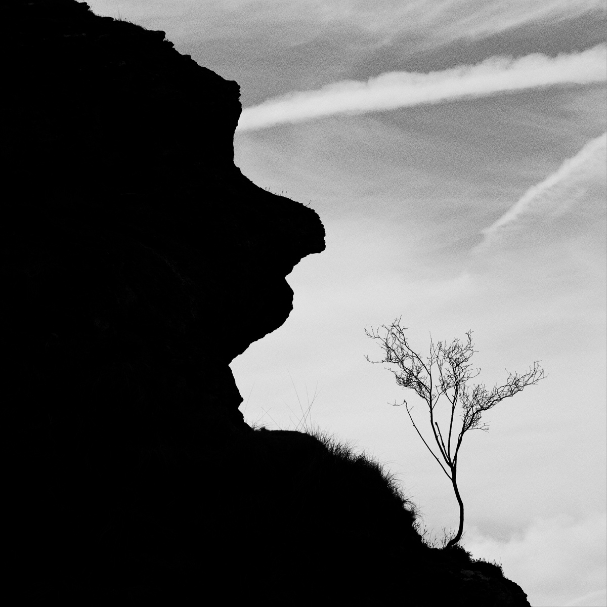Fotografía de Alex Garai