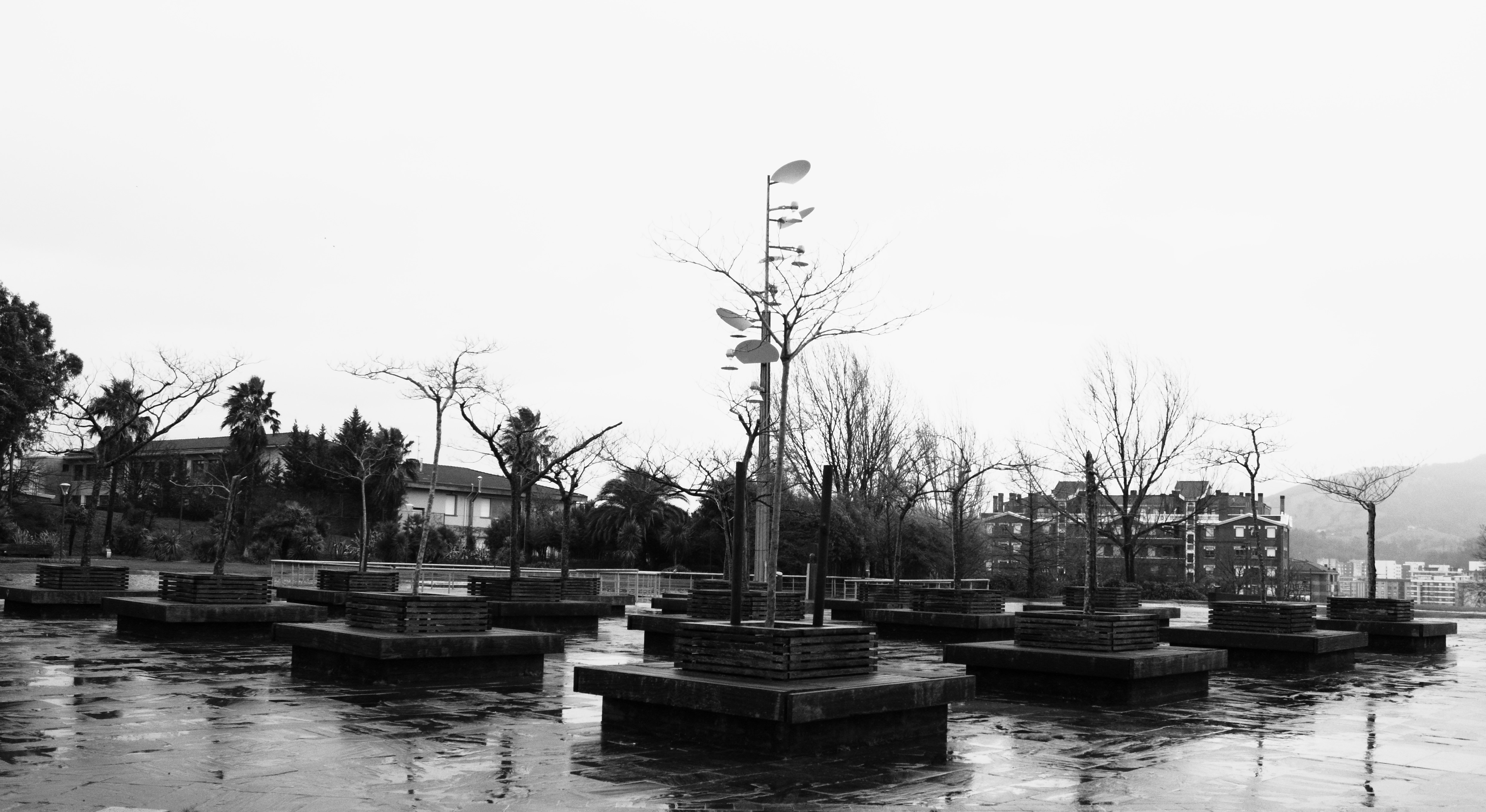 Fotografía de Yolanda