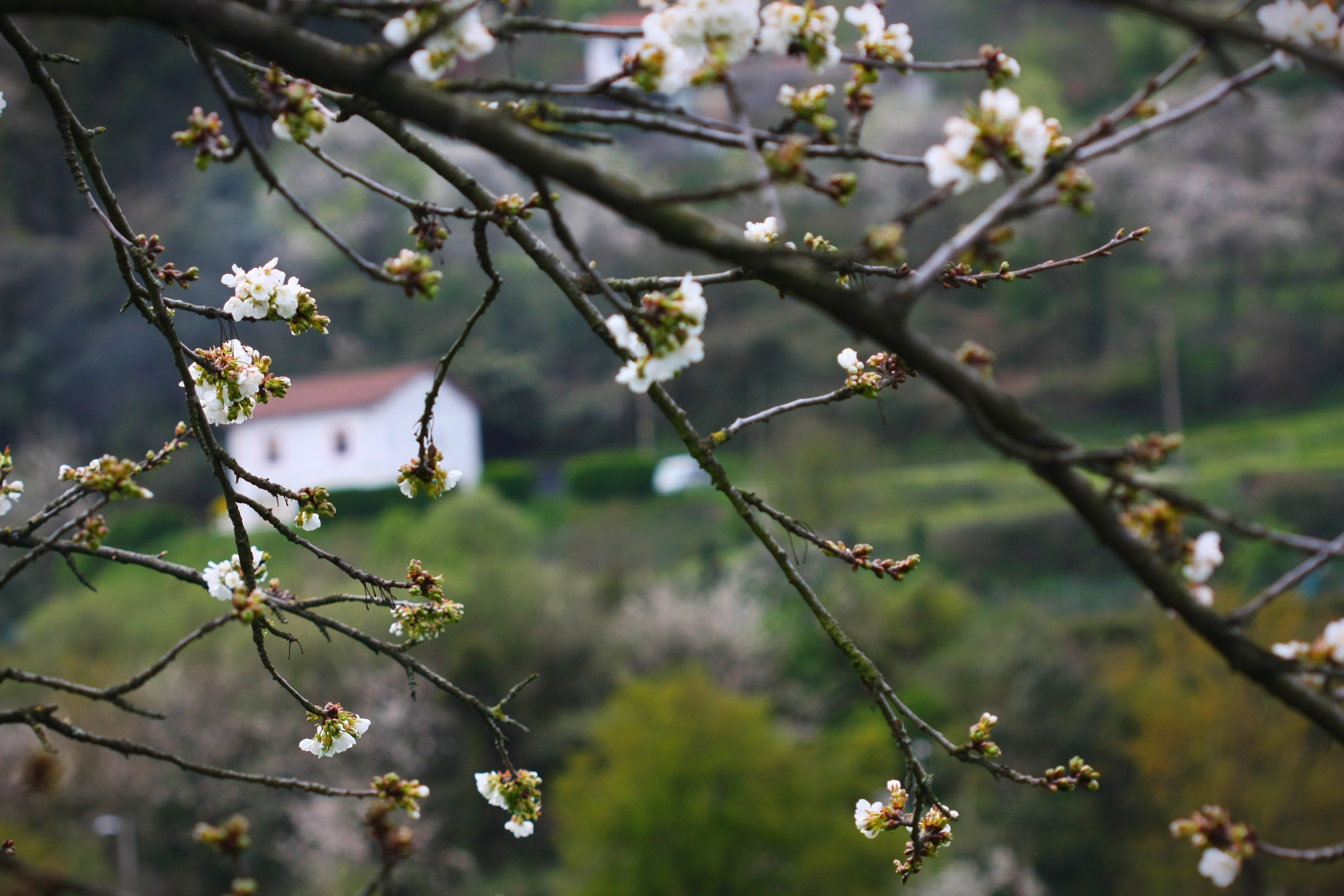 Fotografía de Begoña