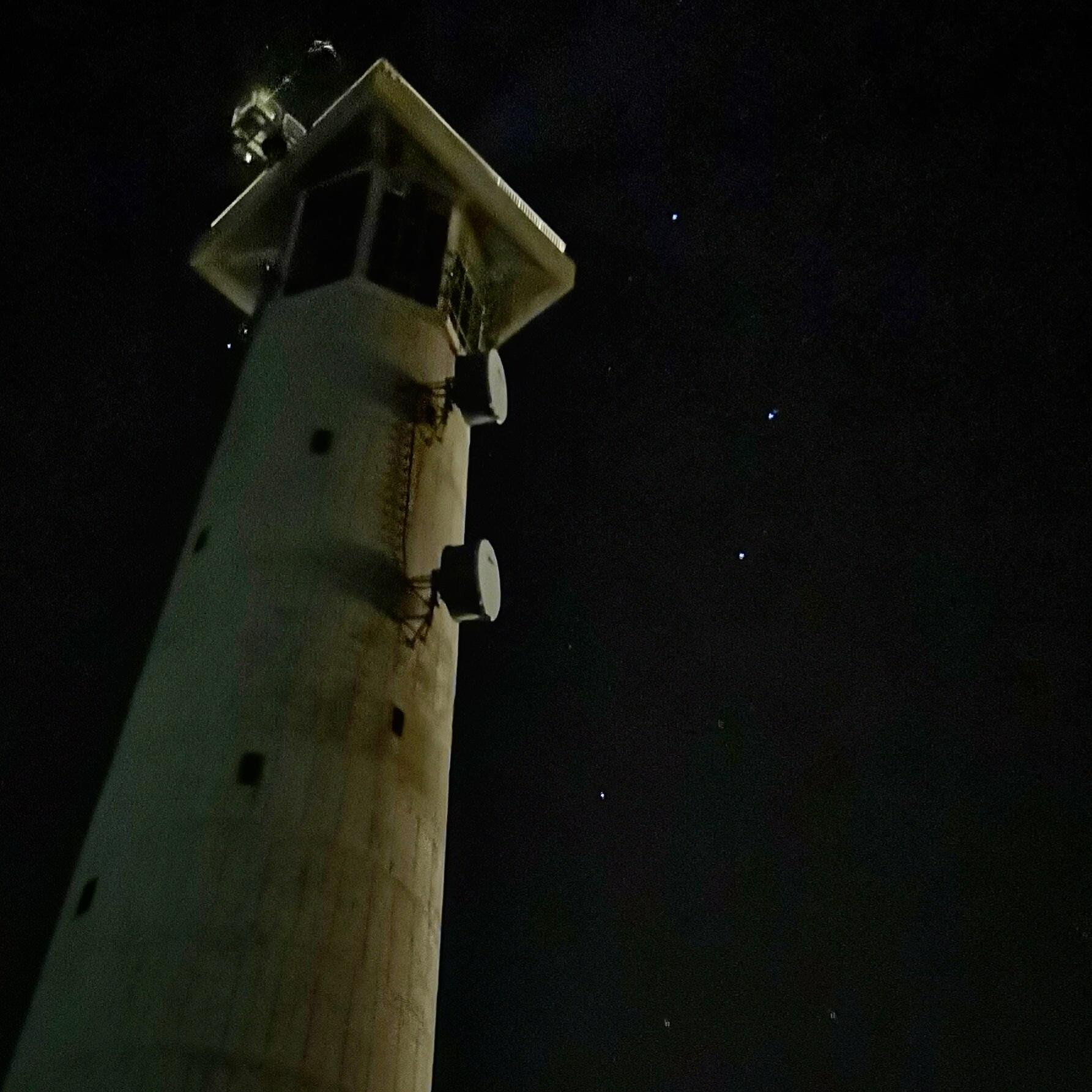 Fotografía de esca