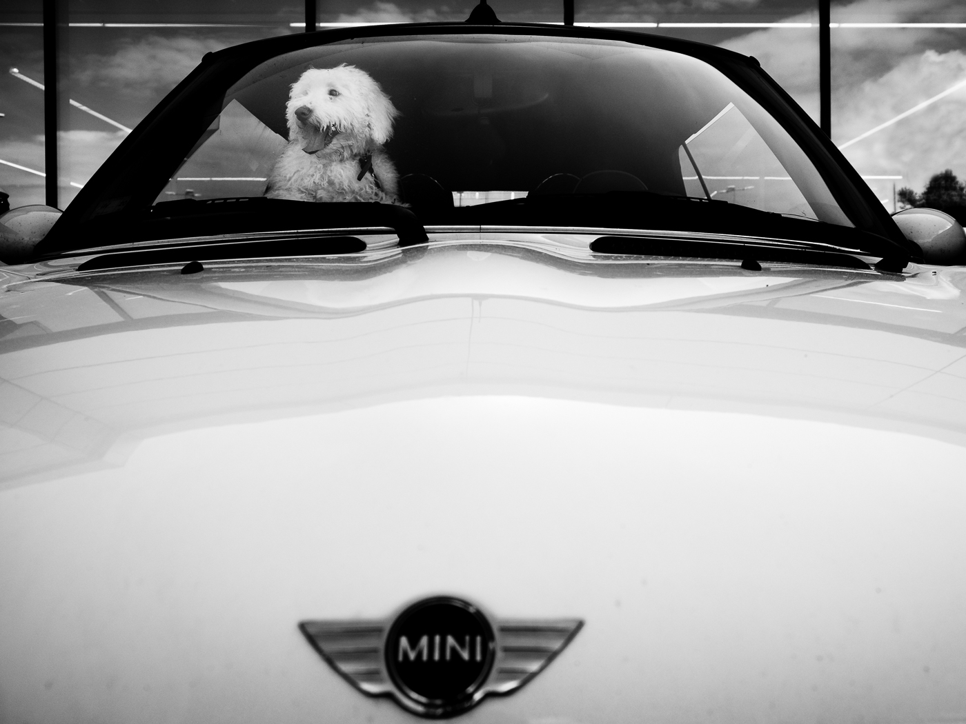 Fotografía de Uhin