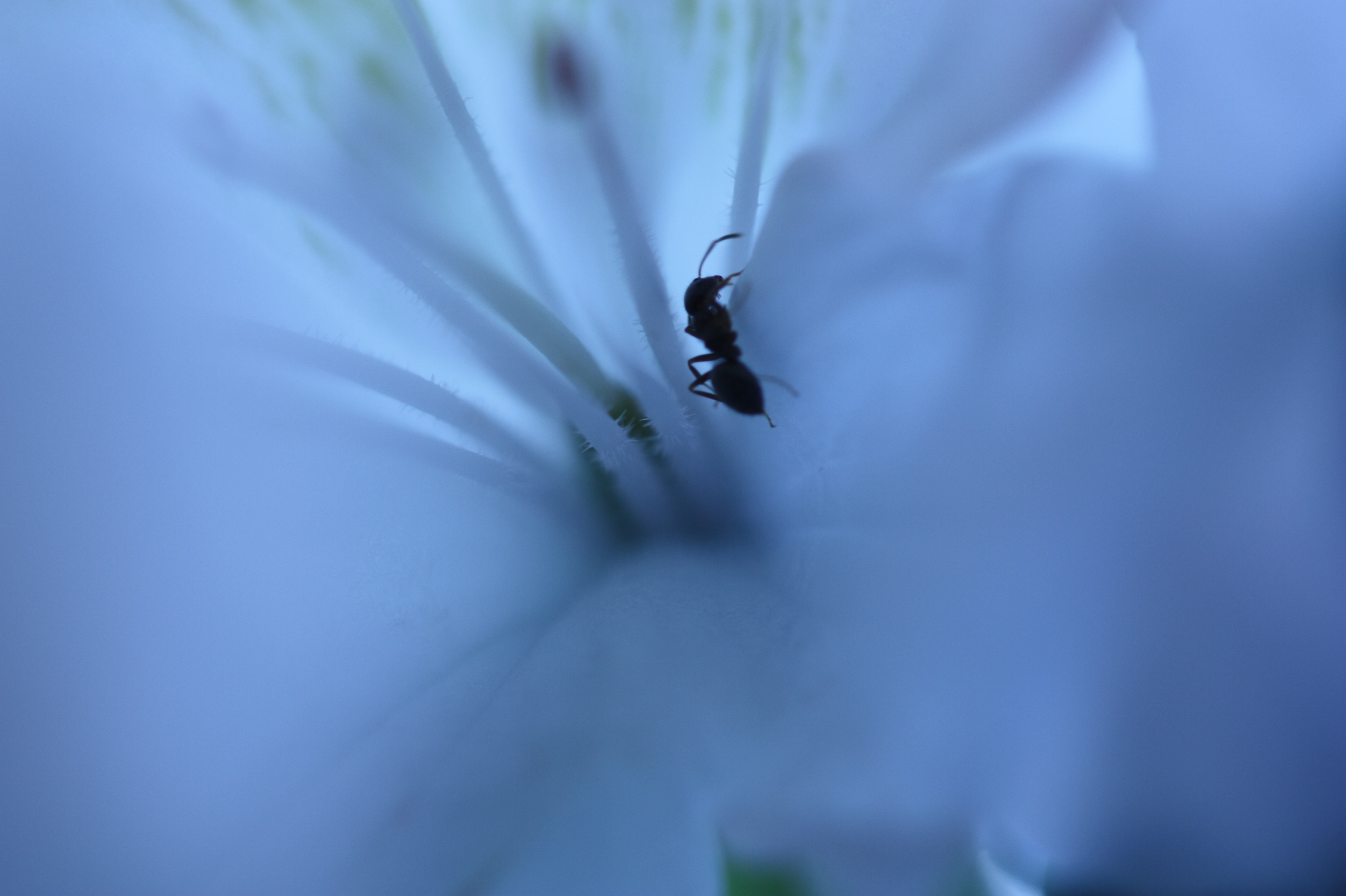 Fotografía de Begoña