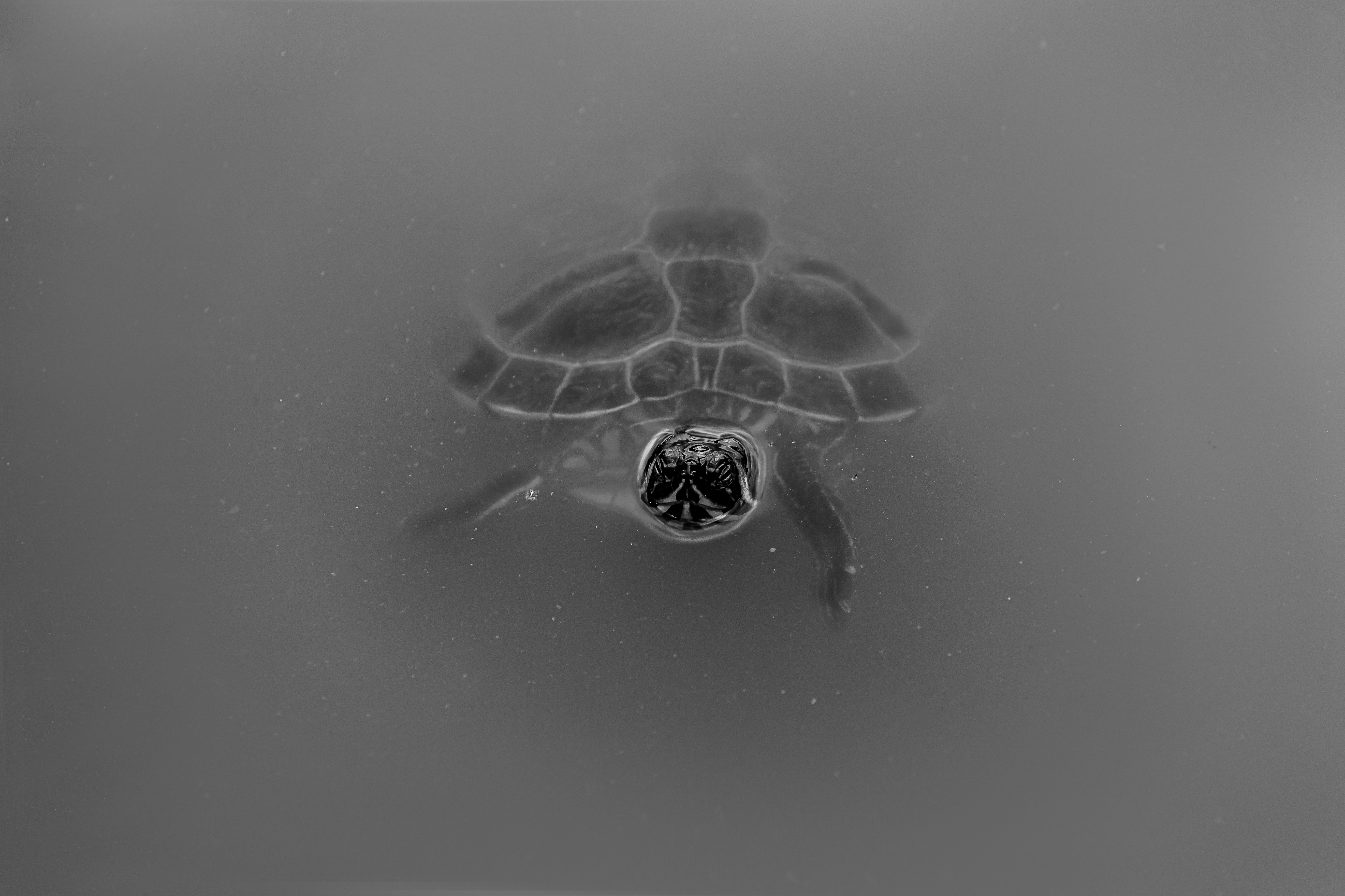 Fotografía de 1k_oneka