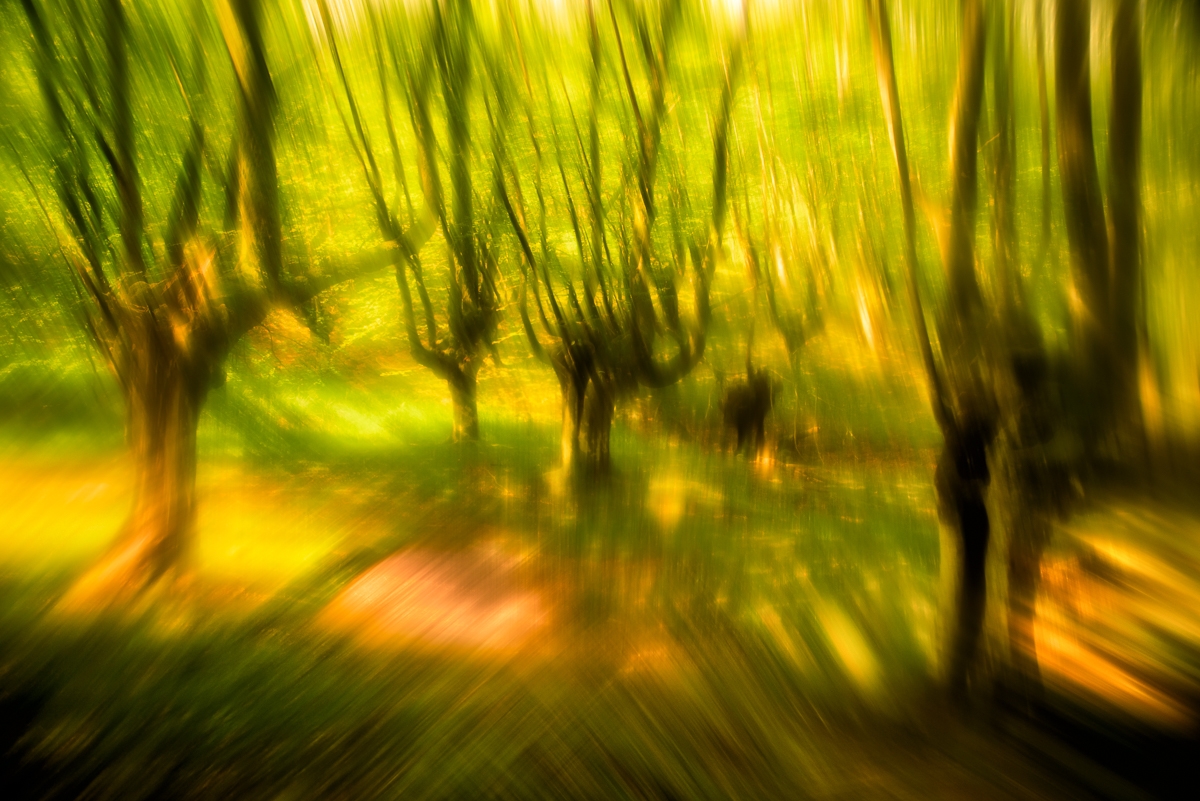 Fotografía de Bederatzi
