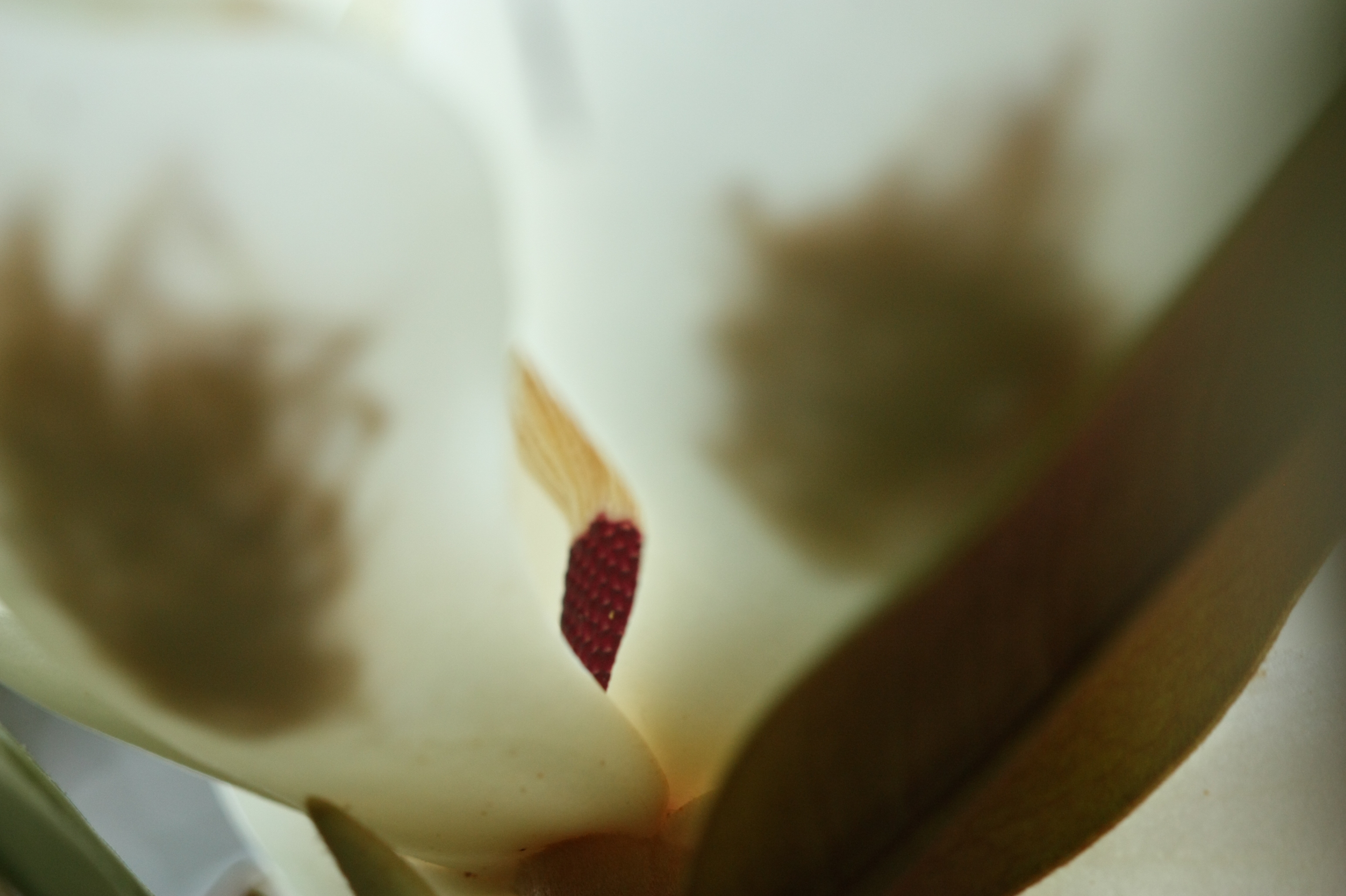 Fotografía de Begoña