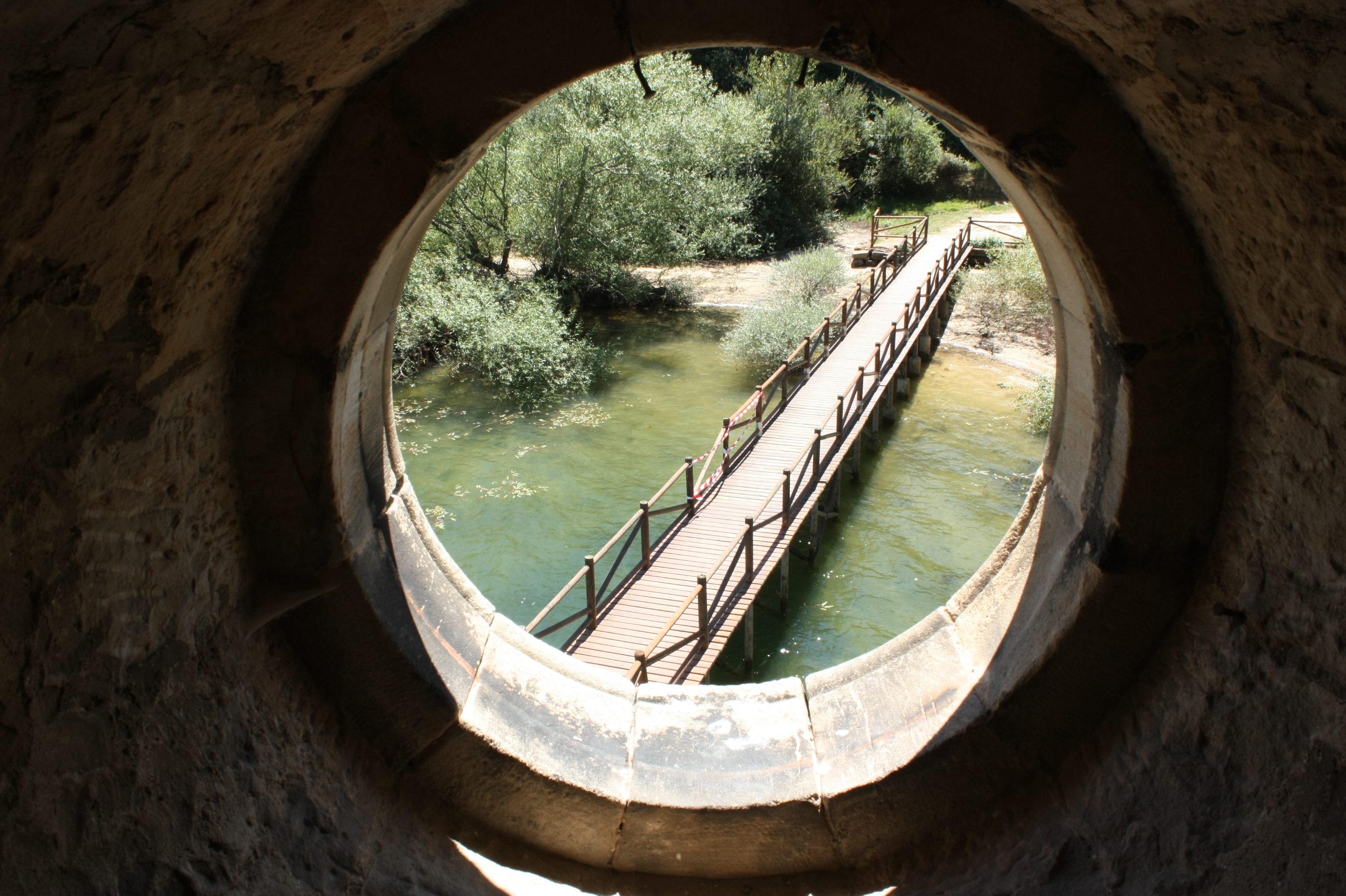 Fotografía de Begoña