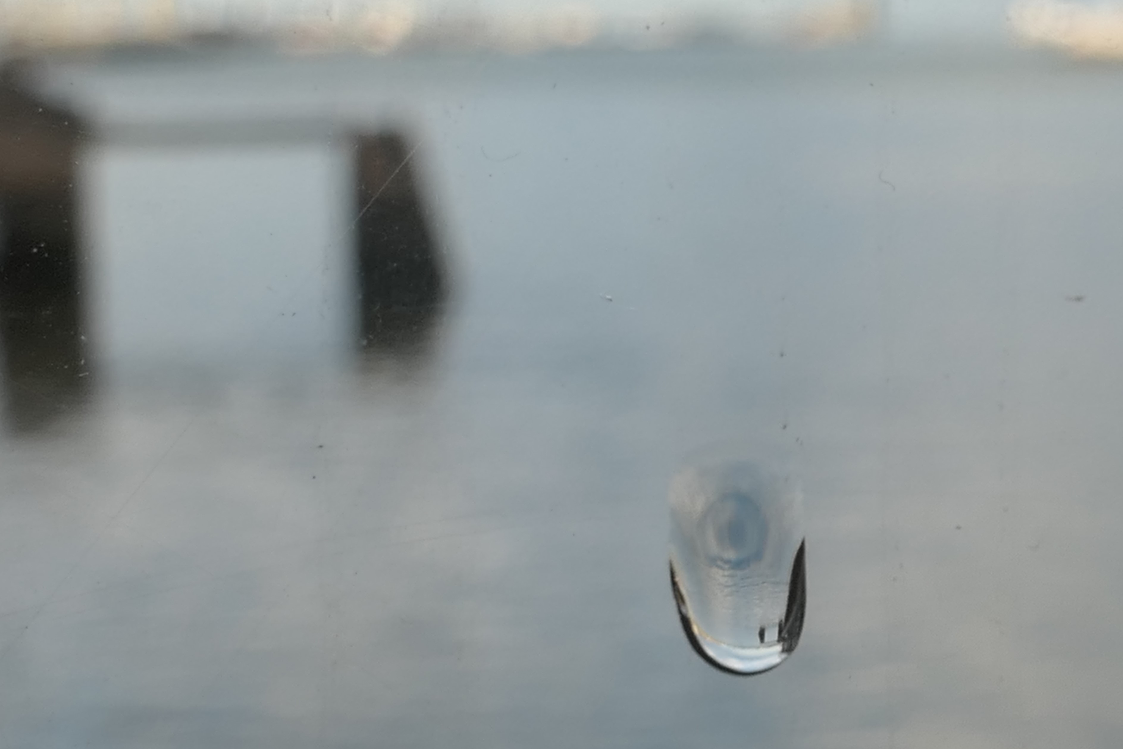 Fotografía de Inma