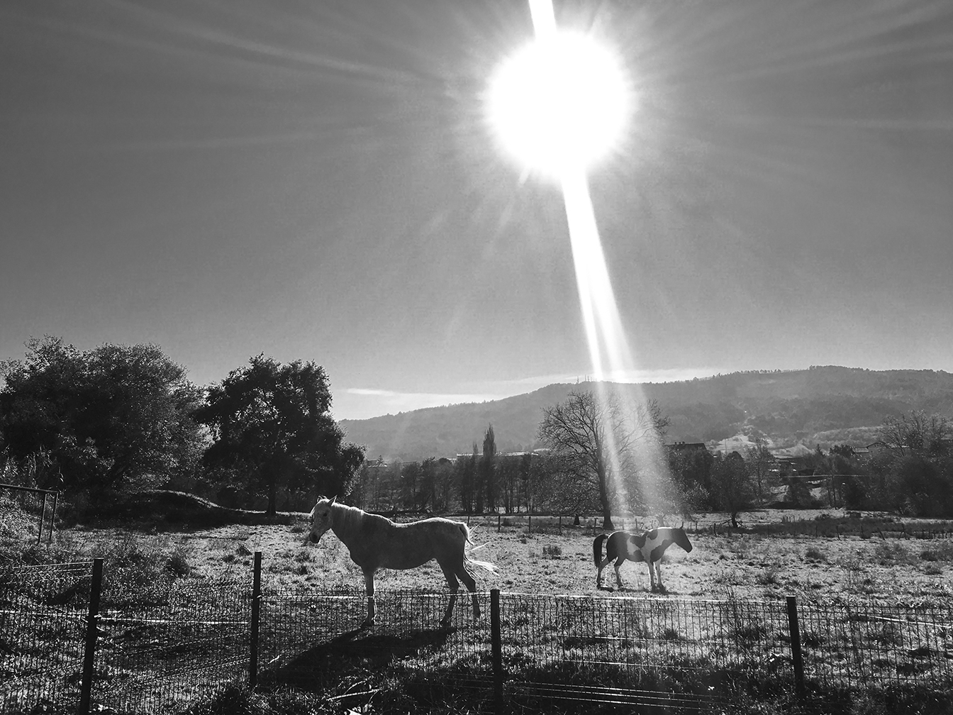 Fotografía de qhandia
