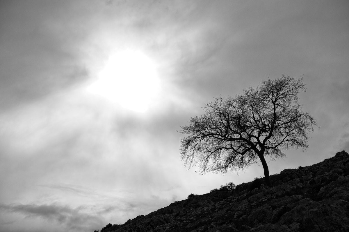 Fotografía de Alex Garai