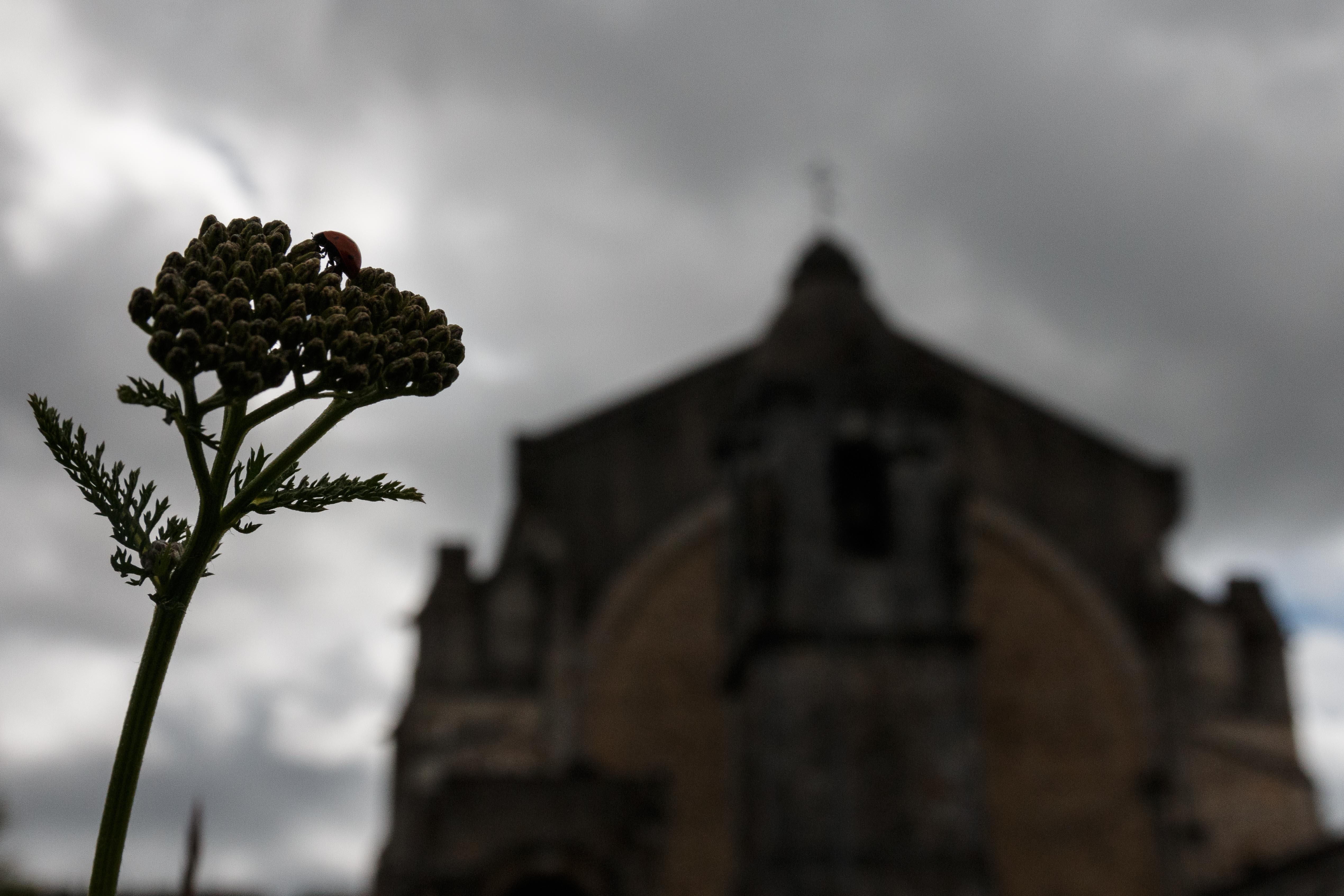 Fotografía de edu