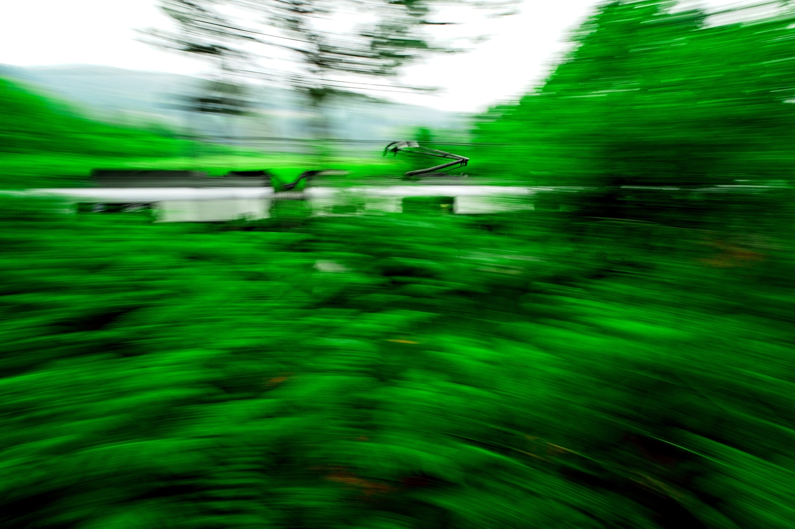 Fotografía de Alex Garai