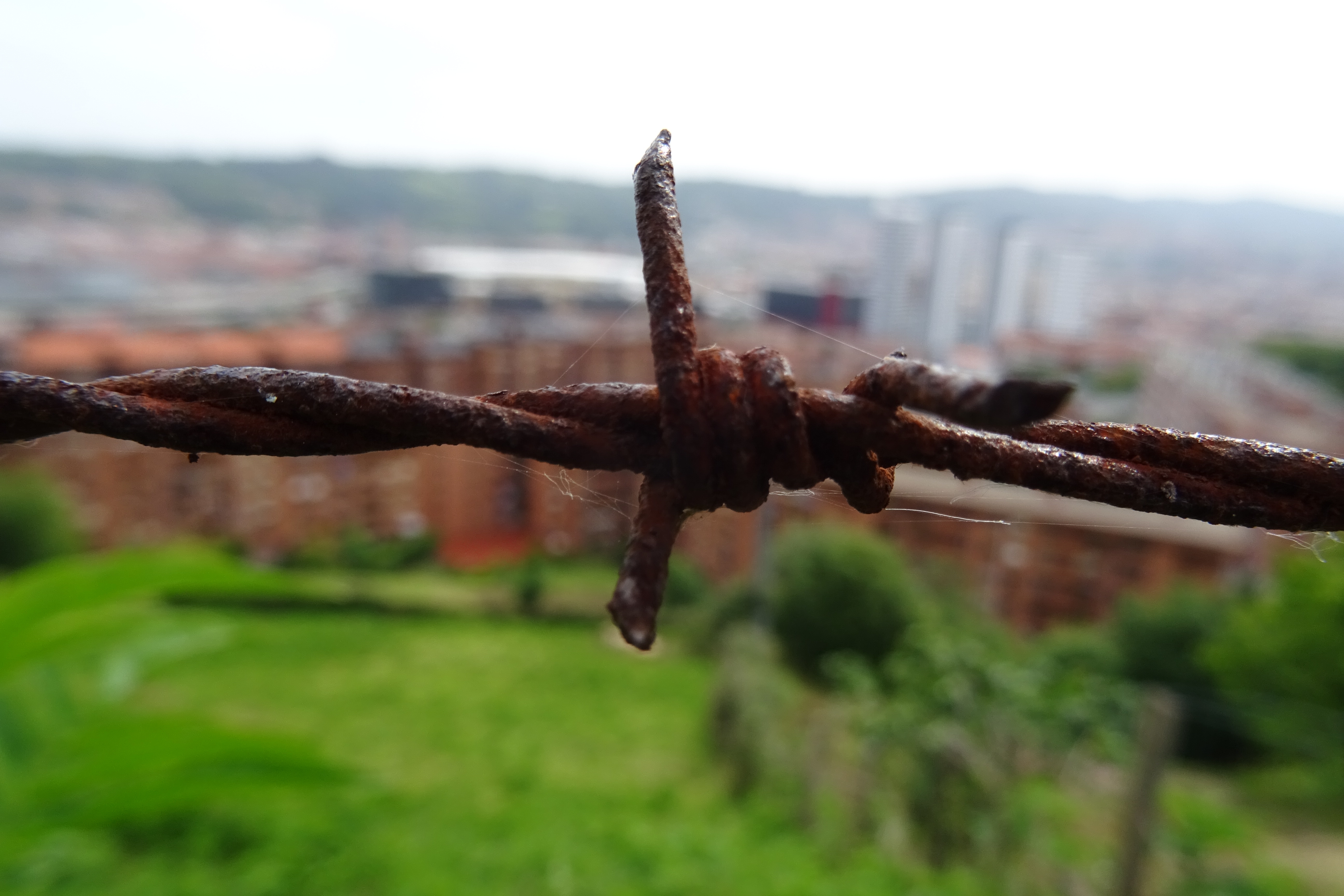 Fotografía de Inma