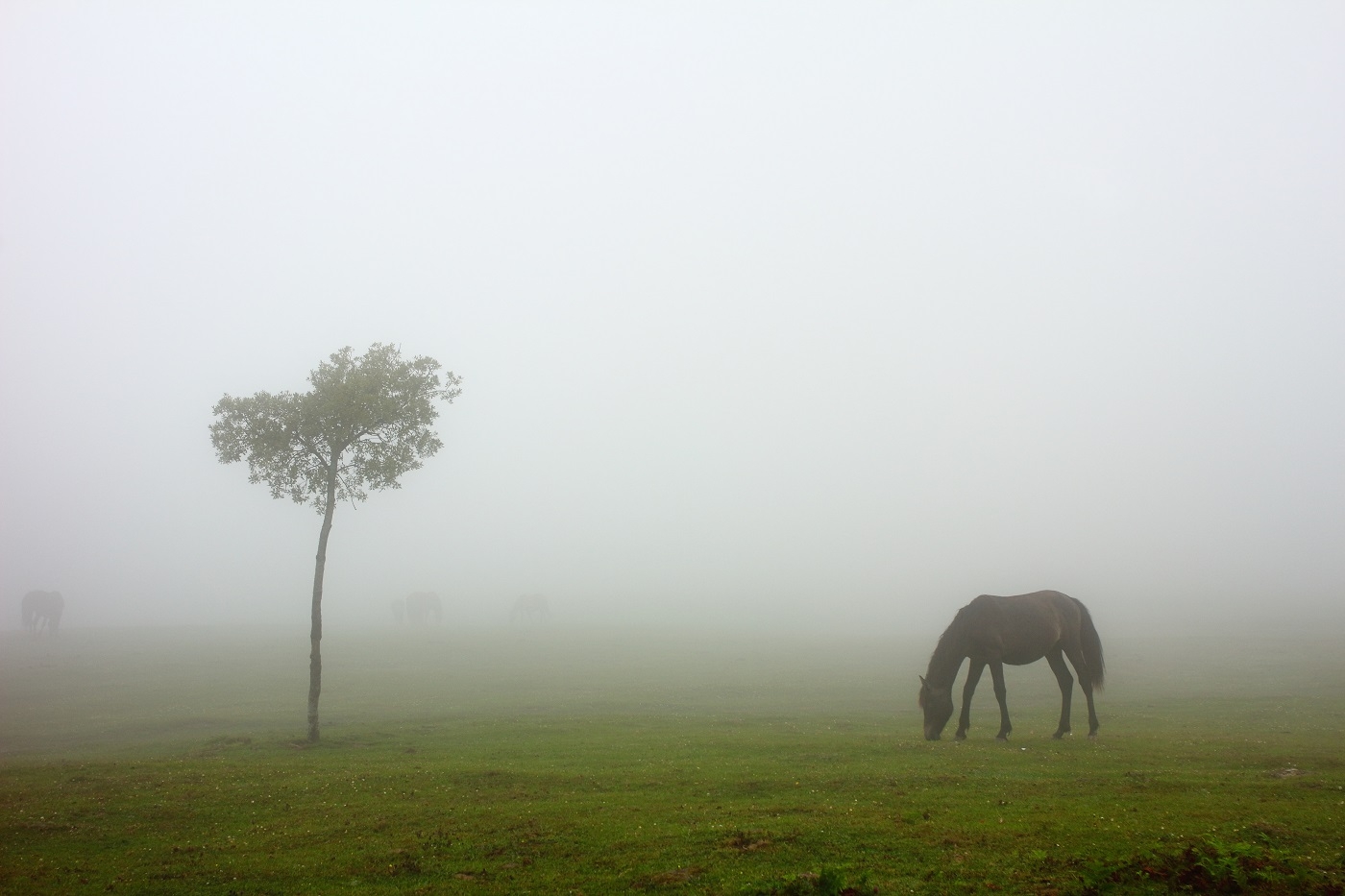 Fotografía de Rosana