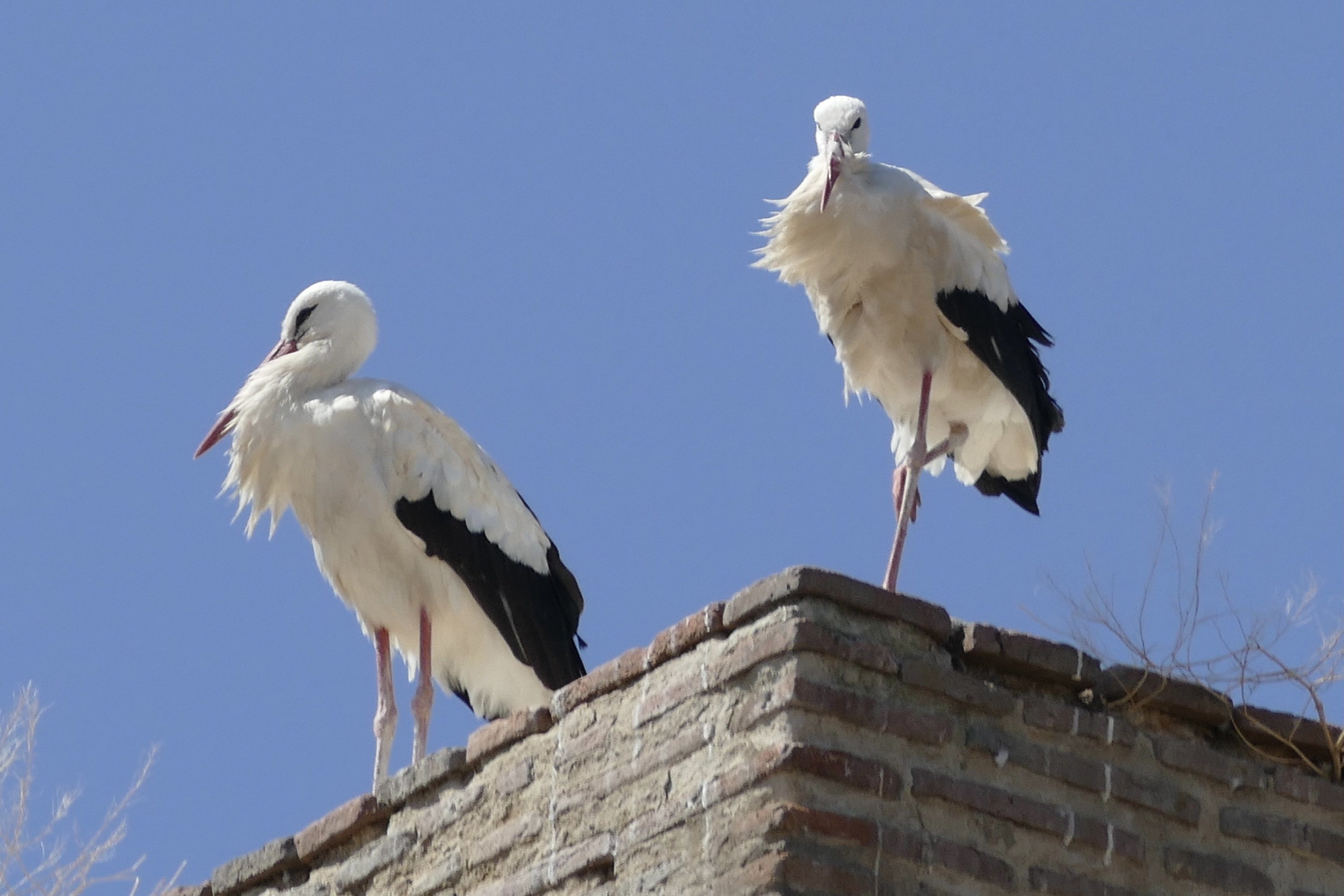 Fotografía de KAKIP