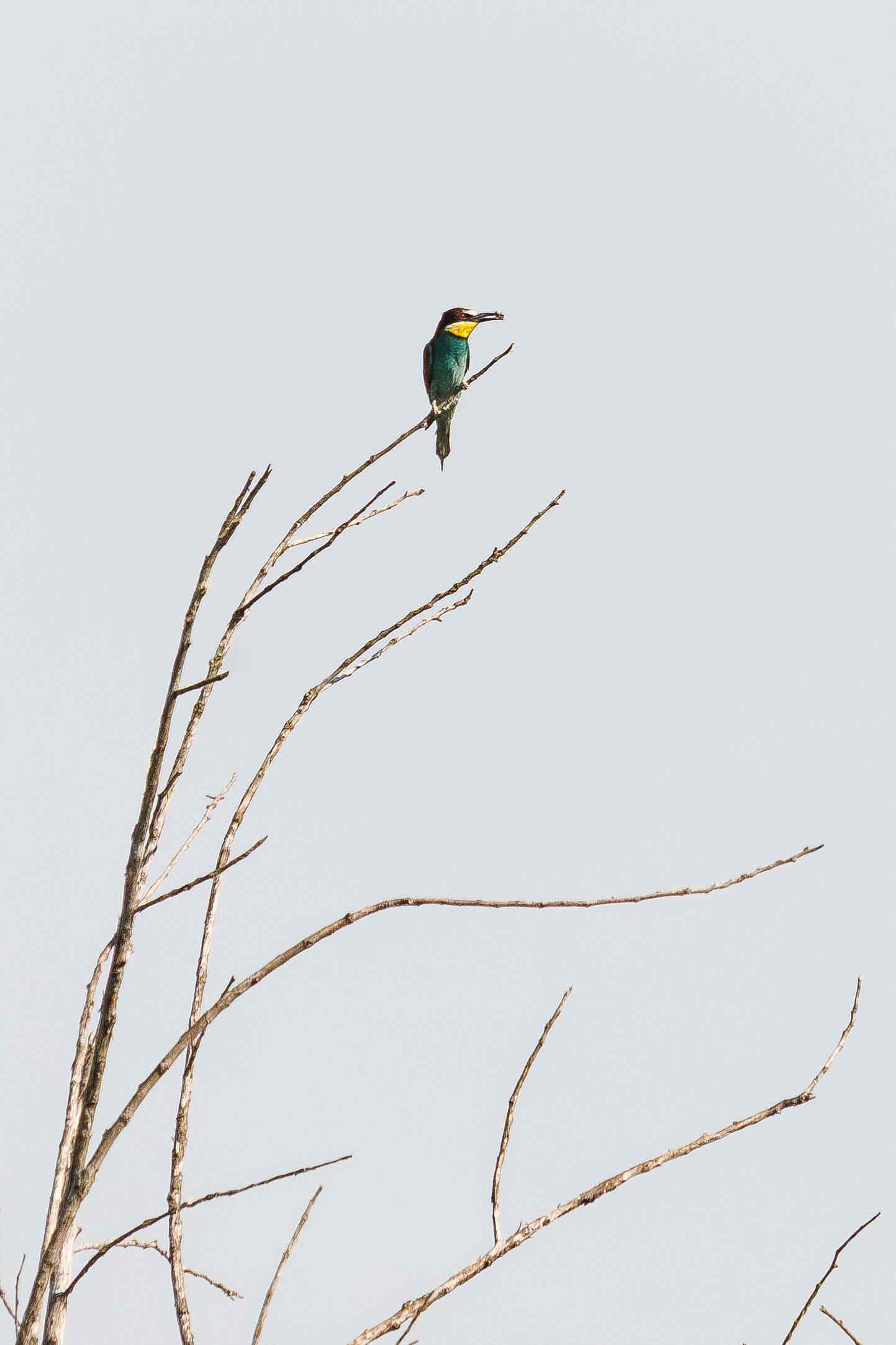 Fotografía de edu