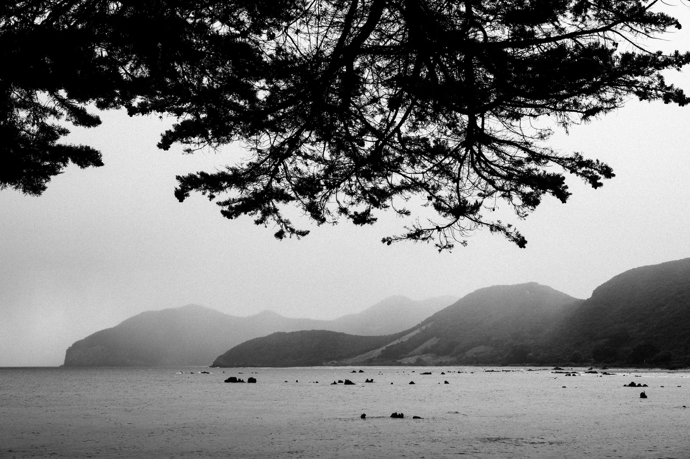 Fotografía de Alex Garai