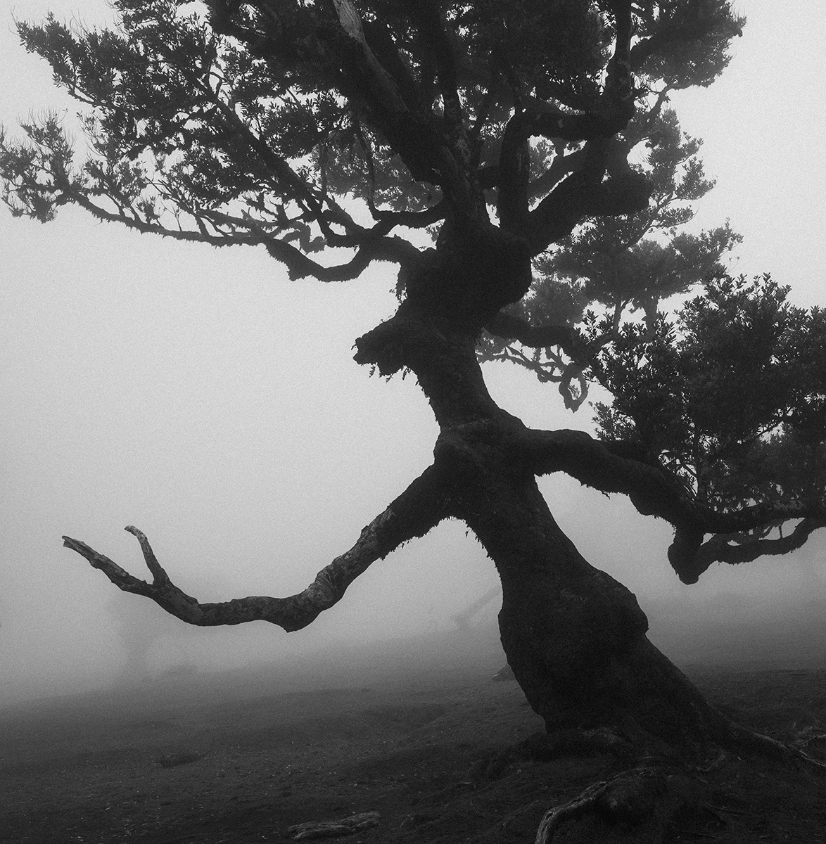 Fotografía de Alex Garai